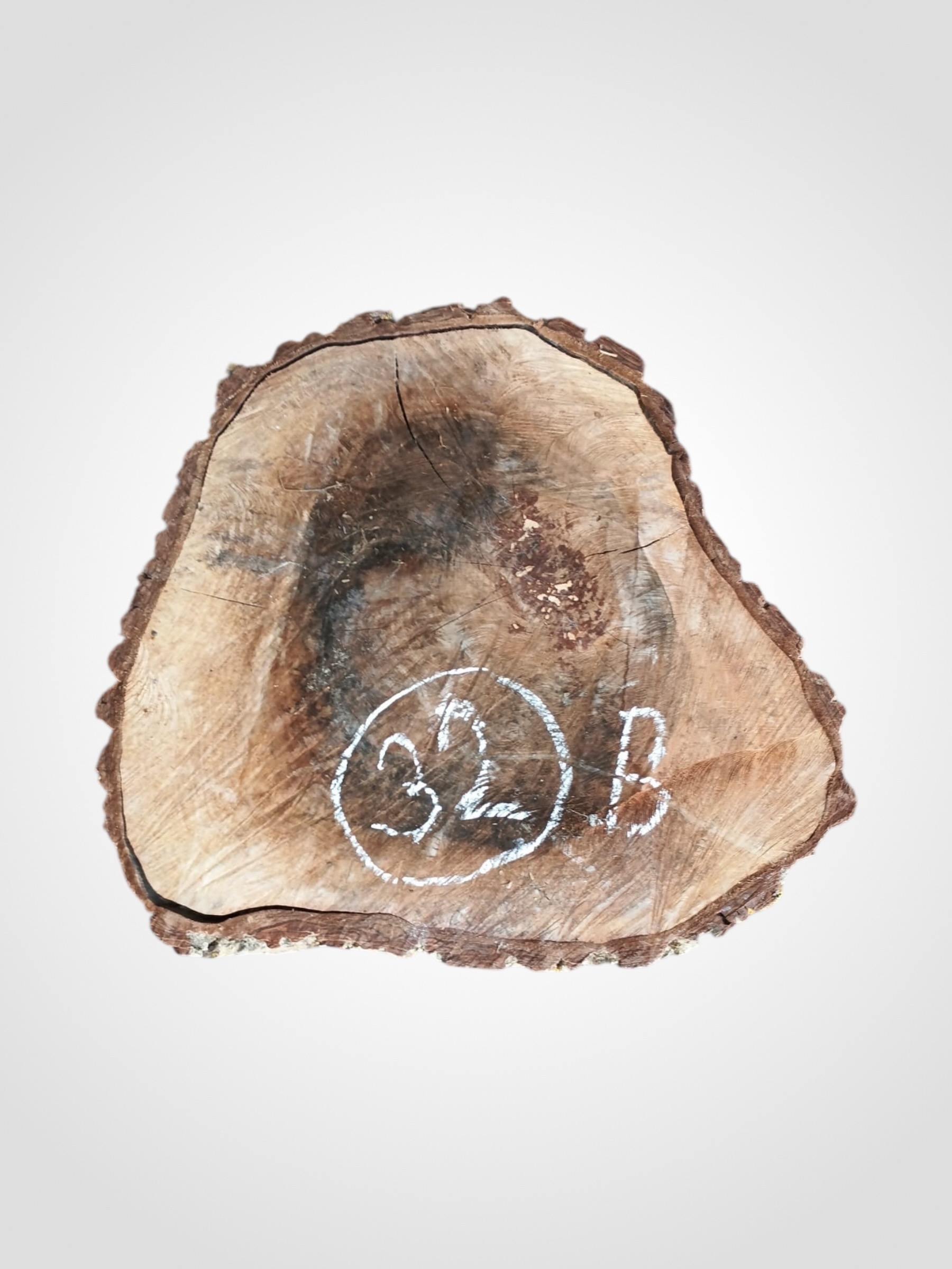 Orech-vlassky-kolac-32b Ořech vlašský koláč - 32