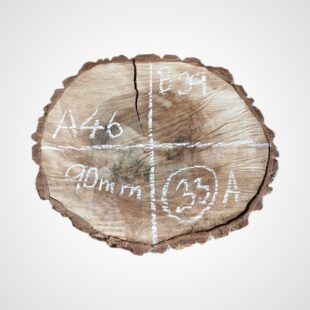 Ořech vlašský koláč - 33