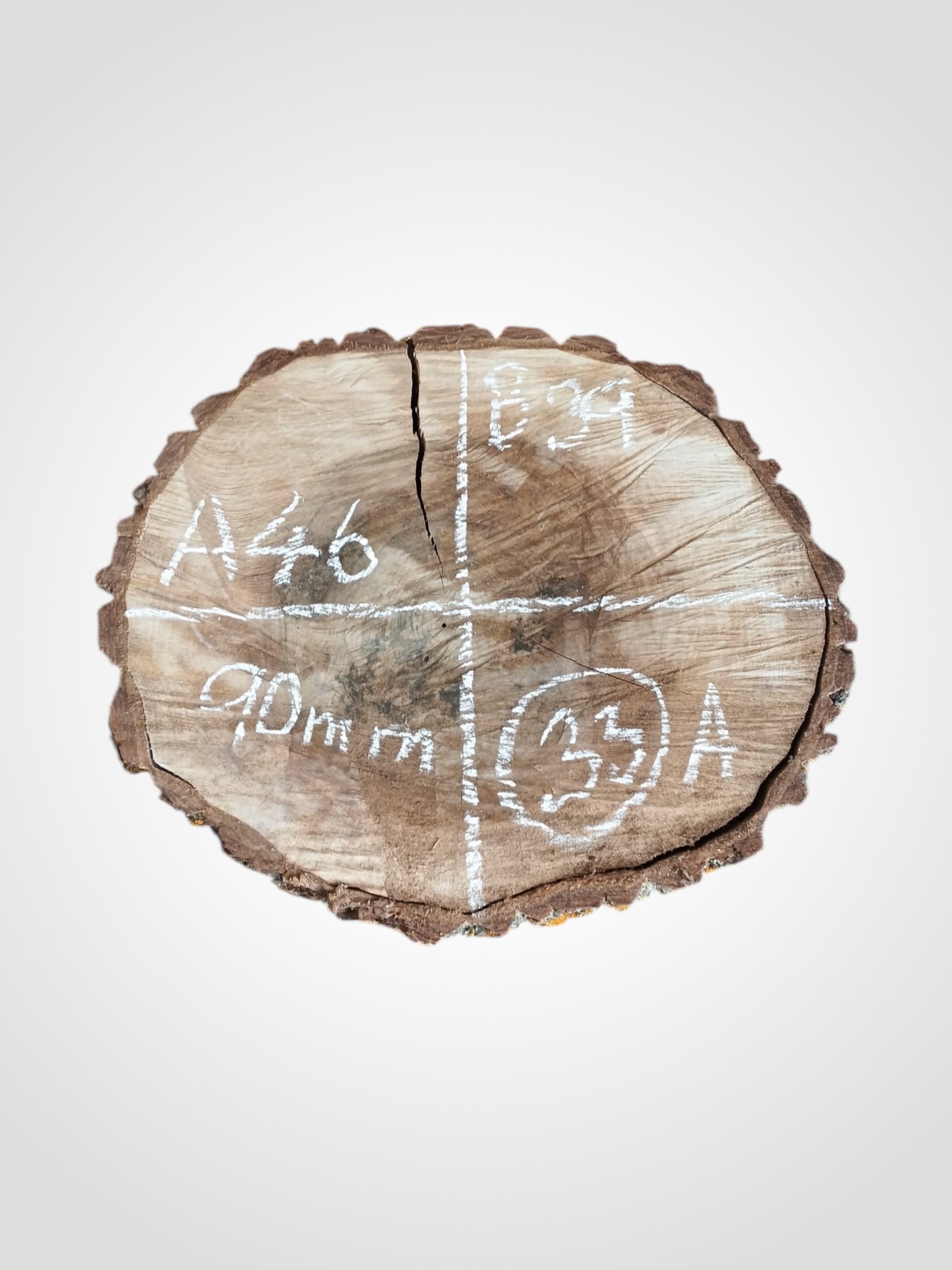 Orech-vlassky-kolac-33a Ořech vlašský koláč - 33