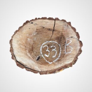 Ořech vlašský koláč - 33