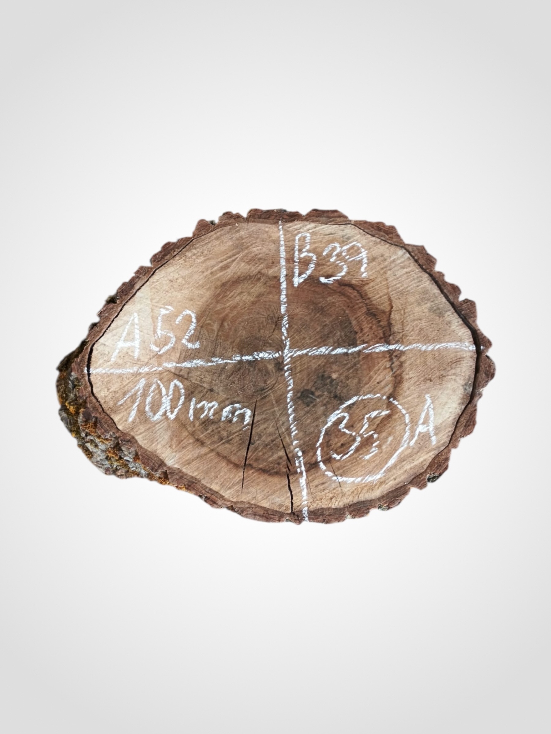 Orech-vlassky-kolac-35a Ořech vlašský koláč - 35