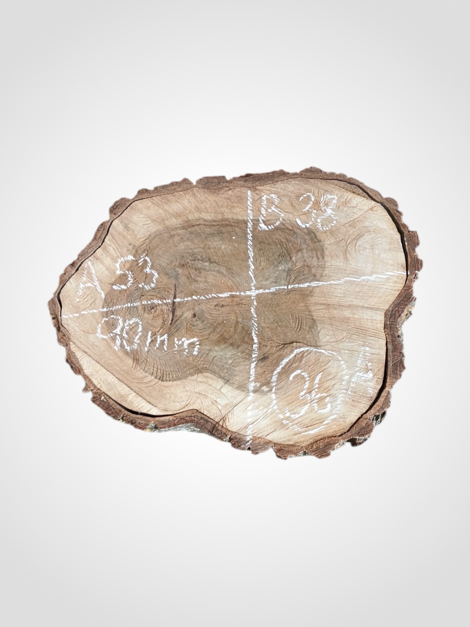 Orech-vlassky-kolac-36a Ořech vlašský koláč - 36