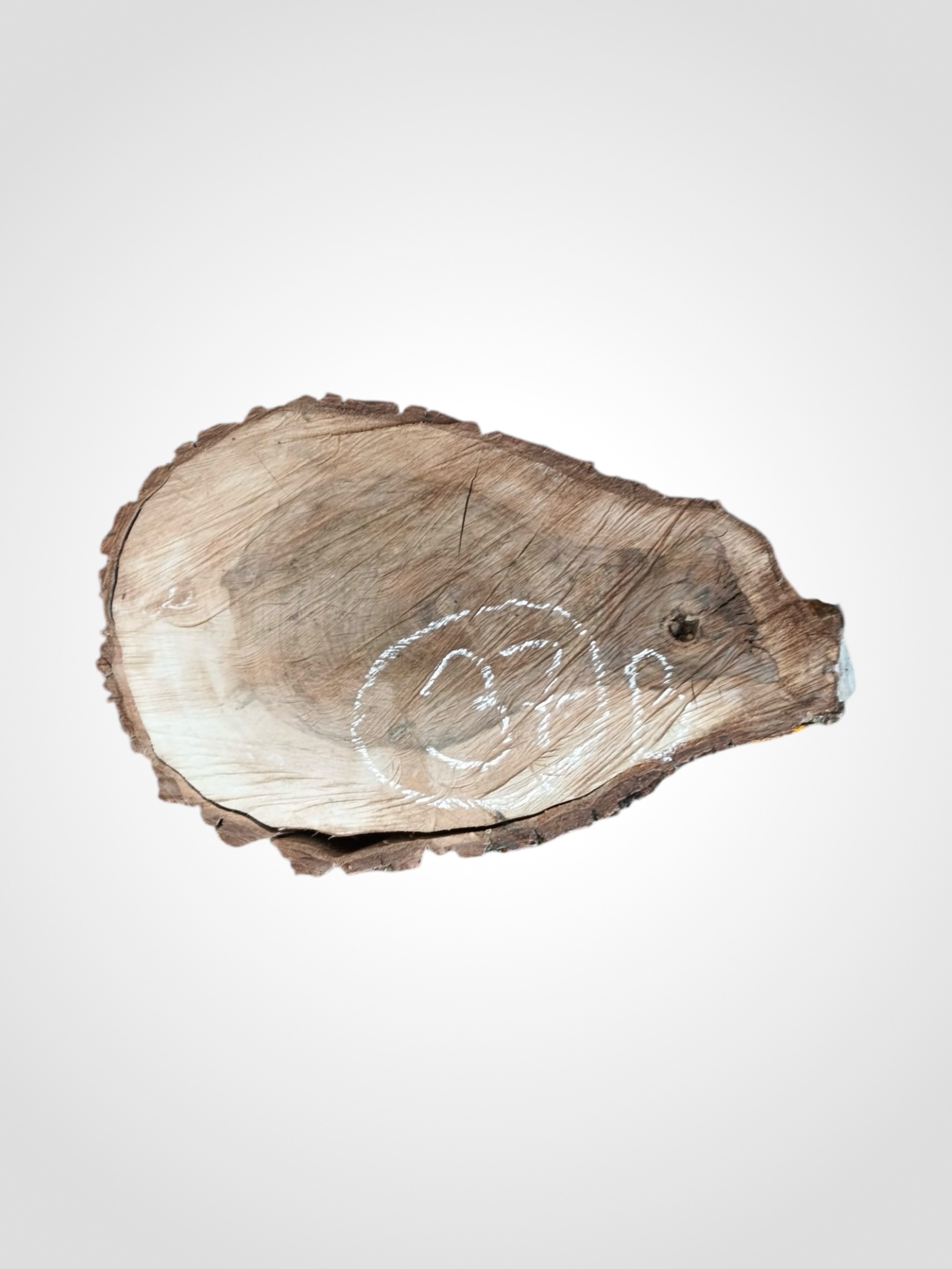 Orech-vlassky-kolac-37b Ořech vlašský koláč - 37