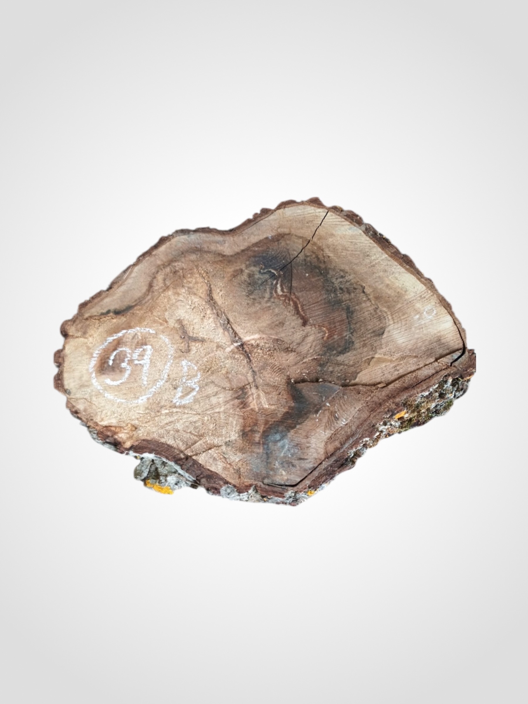 Orech-vlassky-kolac-39b Ořech vlašský koláč - 39