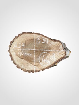 Ořech vlašský koláč - 40