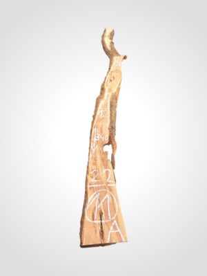 Švestka 50/52 mm - 11