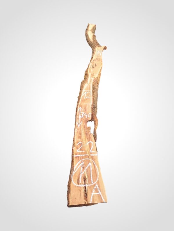 Švestka 50/52 mm - 11