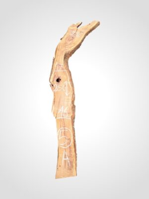 Švestka 50/52 mm - 5