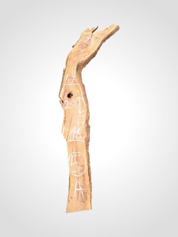 Švestka 50/52 mm - 5