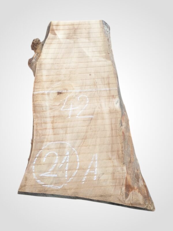 Hruška nepařená 52 mm - 21