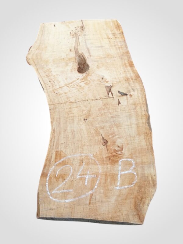 Hruška nepařená 52 mm - 24