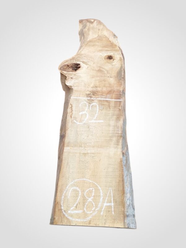 Hruška nepařená 52 mm - 28