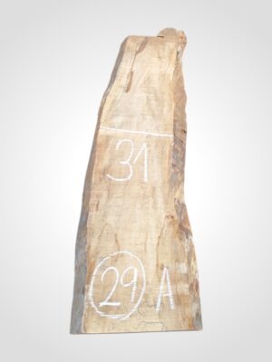 Hruška nepařená 52 mm - 29