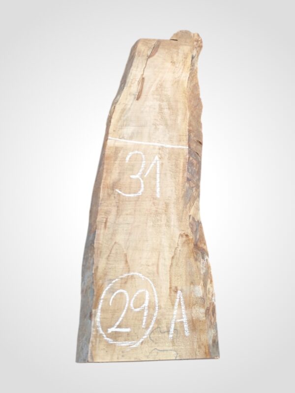 Hruška nepařená 52 mm - 29