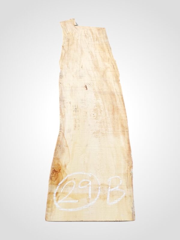 Hruška nepařená 52 mm - 29