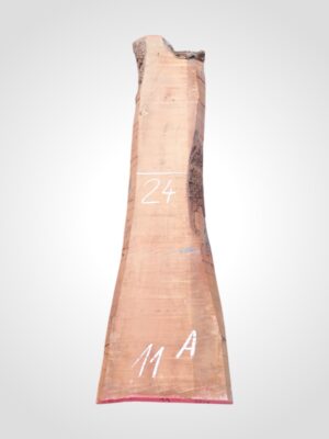 Hruška pařená 52 mm - 11