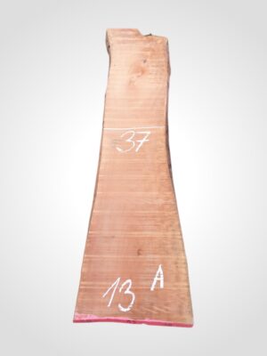 Hruška pařená 52 mm - 13