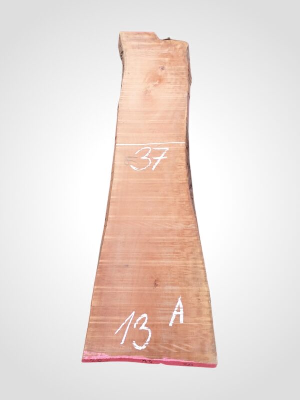 Hruška pařená 52 mm - 13