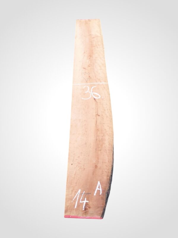 Hruška pařená 52 mm - 14