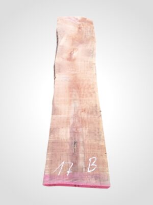 Hruška pařená 52 mm - 17