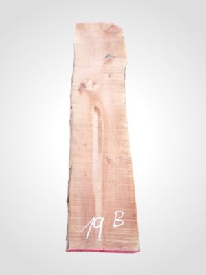 Hruška pařená 52 mm - 19