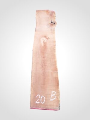 Hruška pařená 52 mm - 20