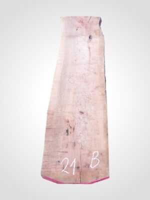 Hruška pařená 52 mm - 21