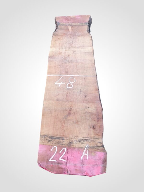 Hruška pařená 52 mm - 22