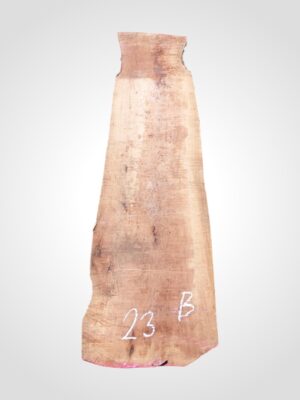 Hruška pařená 52 mm - 23