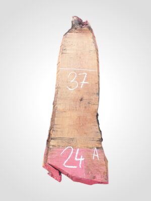 Hruška pařená 52 mm - 24