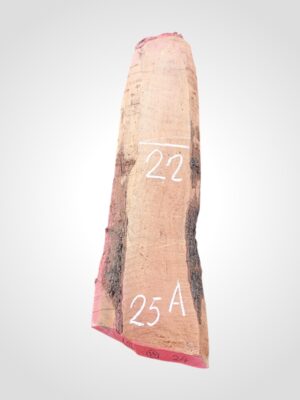 Hruška pařená 52 mm - 25