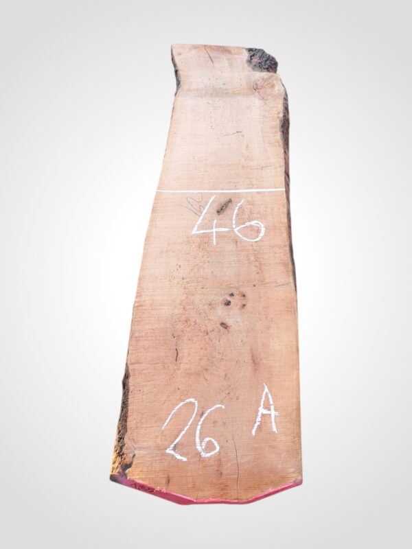 Hruška pařená 52 mm - 26