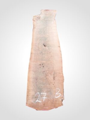 Hruška pařená 52 mm - 27