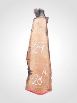 Hruška pařená 52 mm - 28