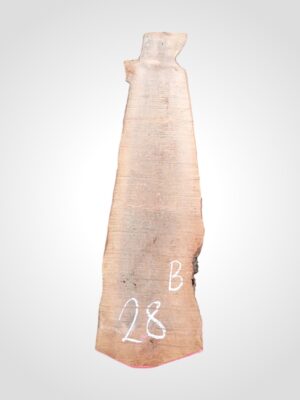 Hruška pařená 52 mm - 28