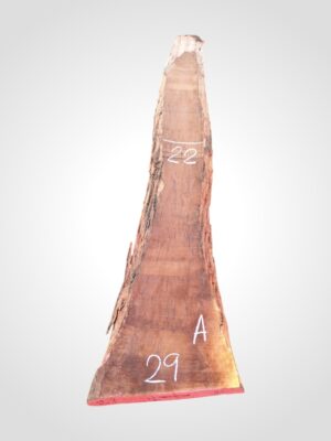 Hruška pařená 52 mm - 29