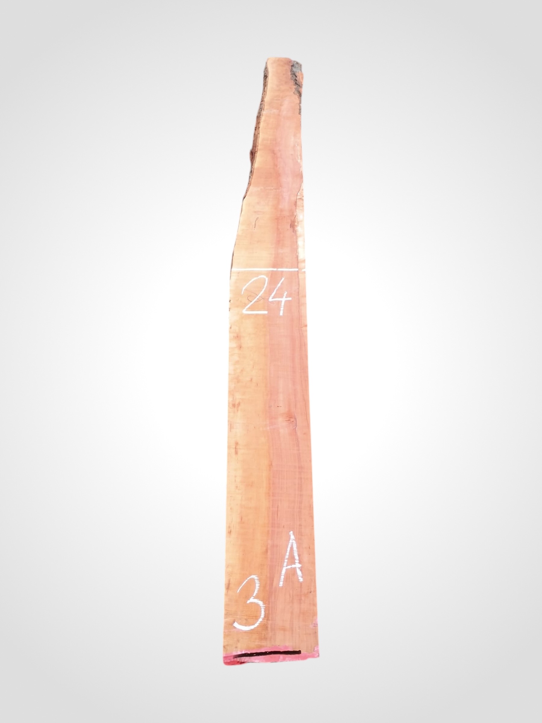 Hruska-parena-52-3a Hruška pařená 52 mm - 3