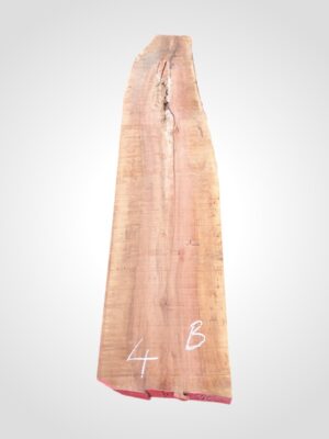 Hruška pařená 52 mm - 4