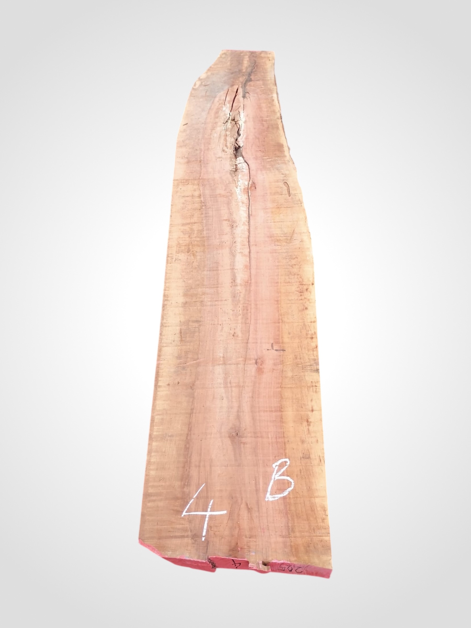 Hruska-parena-52-4b Hruška pařená 52 mm - 4