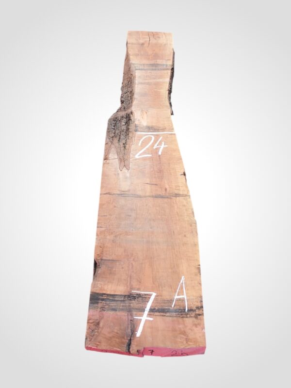 Hruška pařená 52 mm - 7