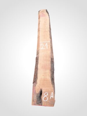 Hruška pařená 52 mm - 8