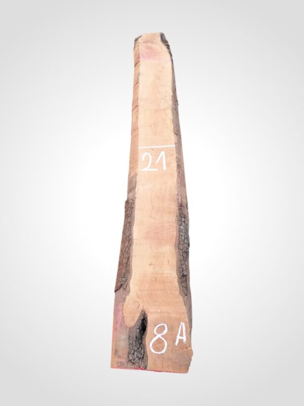 Hruška pařená 52 mm - 8