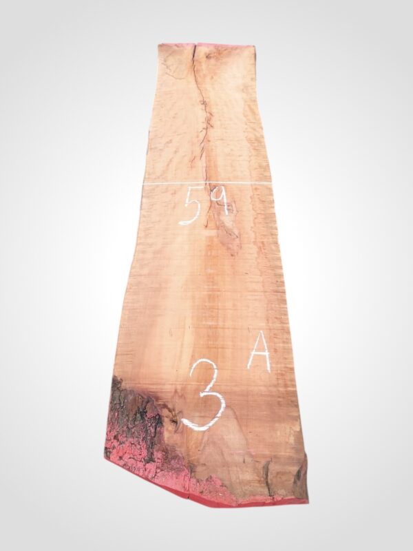 Hruška pařená 65 mm - 3