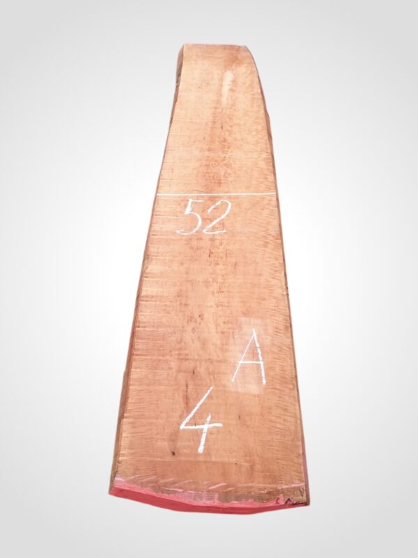 Hruška pařená 65 mm - 4