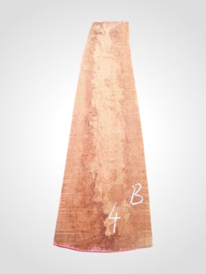 Hruška pařená 65 mm - 4