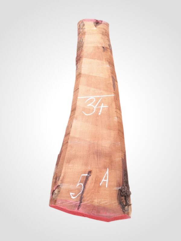 Hruška pařená 65 mm - 5