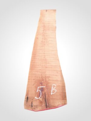 Hruška pařená 65 mm - 5