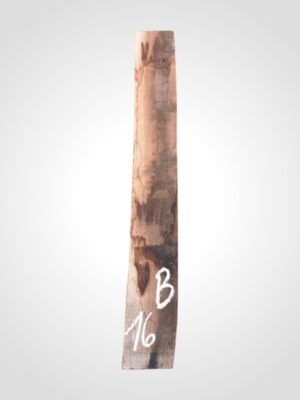 Ořech americký 30/32 mm - 16