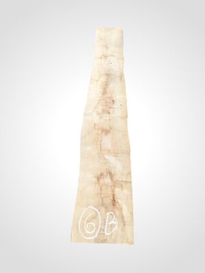 Javor rýglový 65 mm - 6