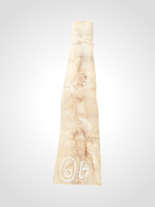 Javor rýglový 65 mm - 6